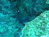 P1010124.JPG