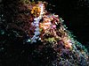 P1010137.JPG