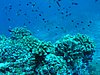 P1010146.JPG