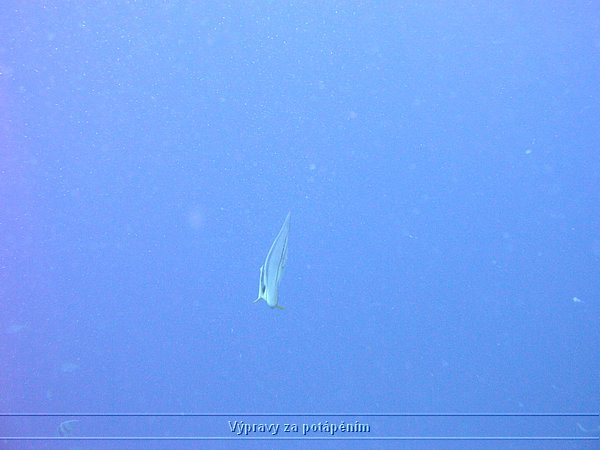 P1010205.JPG
