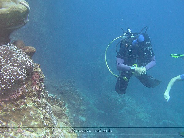 P1010254.JPG