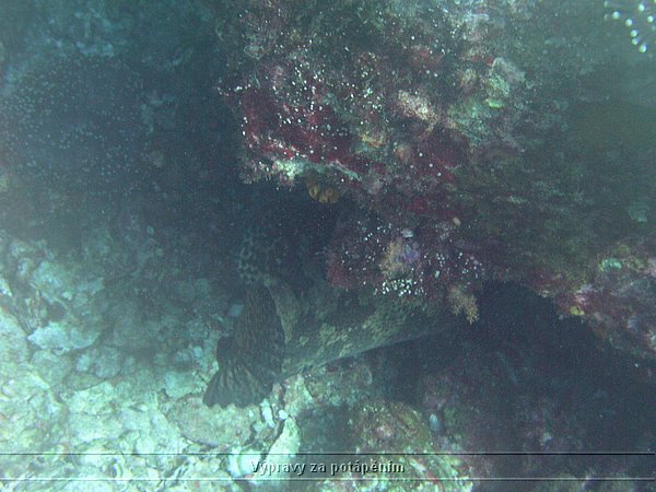 P1010258.JPG