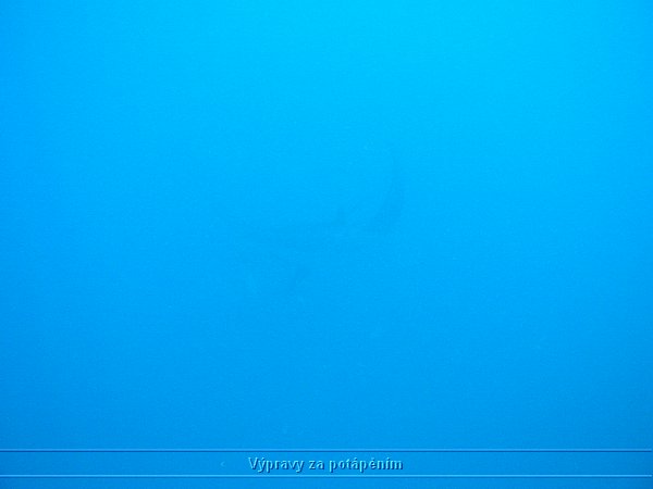 P1010270.JPG