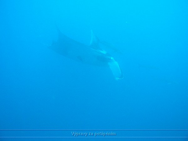 P1010271.JPG