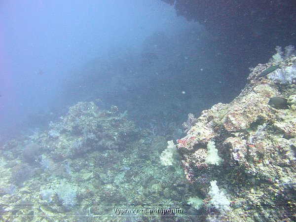 P1010003.JPG