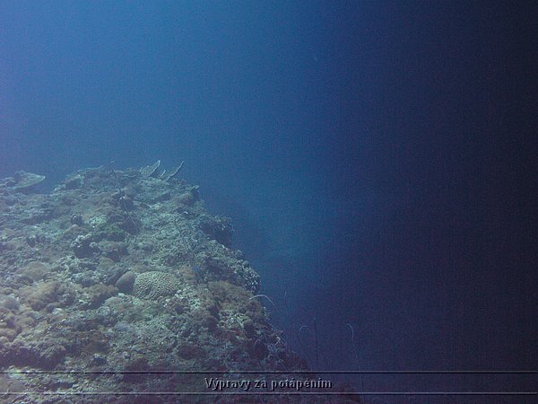 P1010079.JPG