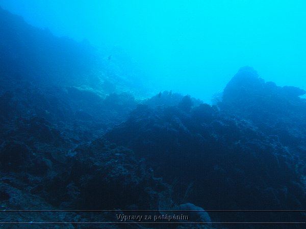 P1010081.JPG