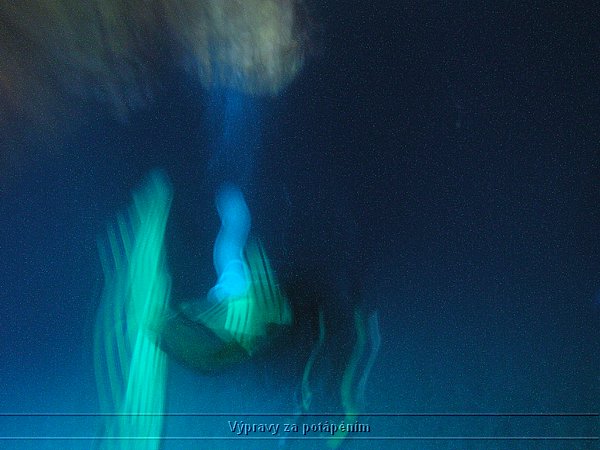 P1010082.JPG