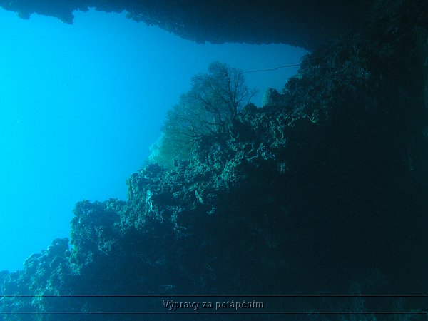 P1010088.JPG