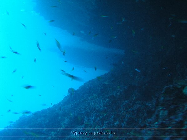 P1010124.JPG
