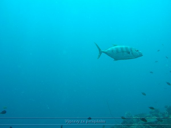 P1010261.JPG