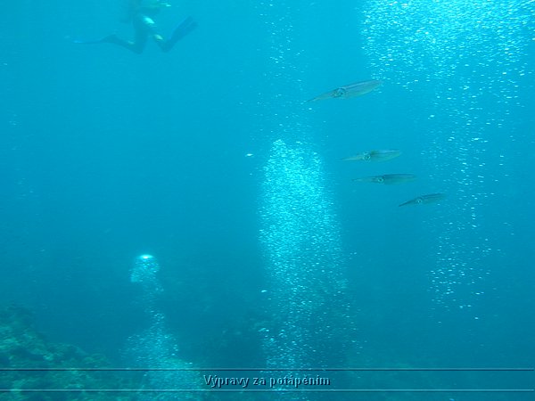 P1010267.JPG
