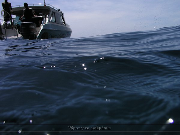 P1010276.JPG