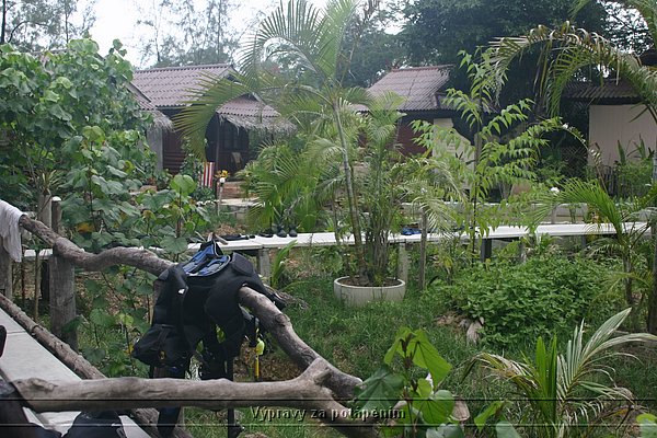 00178.JPG